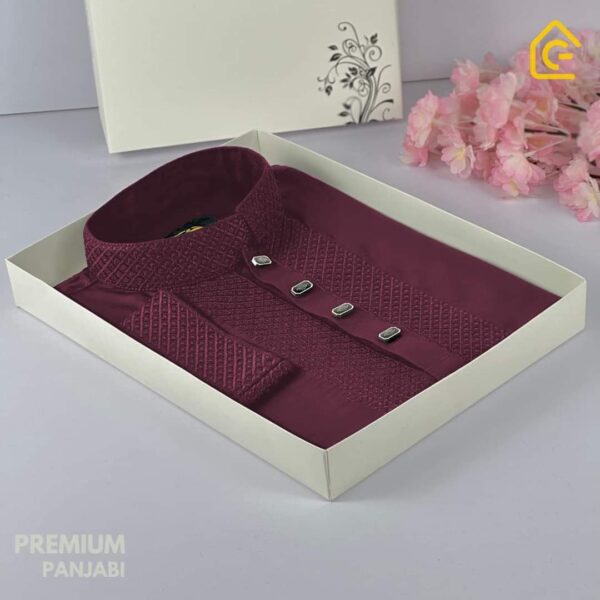 New Premium Quality Panjabi (P-596)